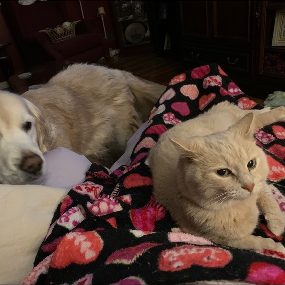 Meet your Posher, Lily - Picture 5 of 12